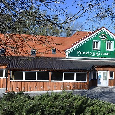 Penzion Grasel Nove Syrovice Экстерьер фото