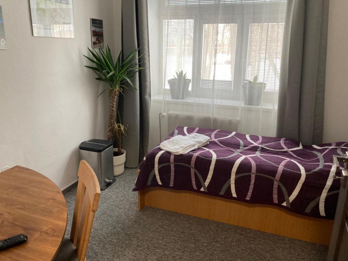 Penzion Grasel Nove Syrovice Экстерьер фото